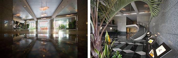 Adobe reception stairs